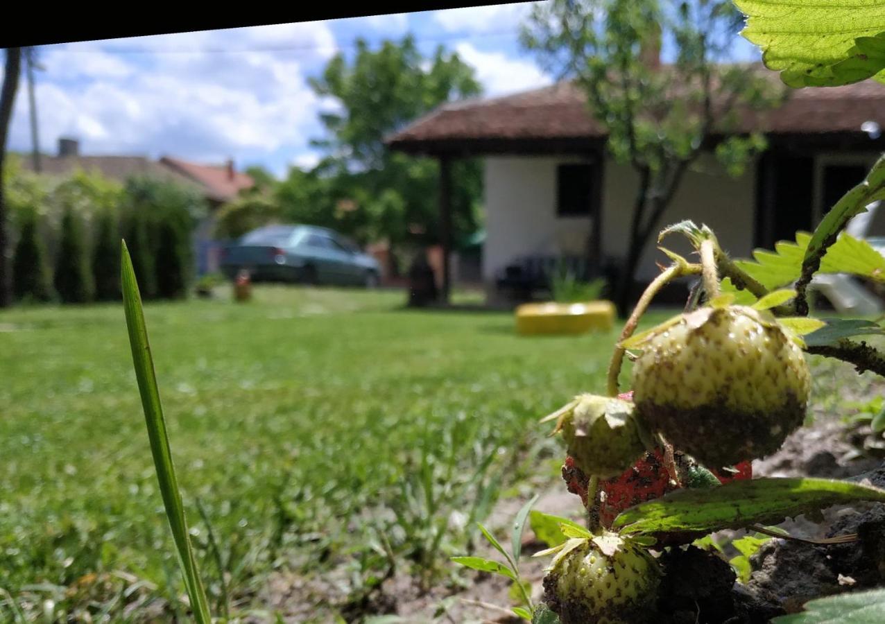 Stara Kovacnica Villa Golubac Dış mekan fotoğraf