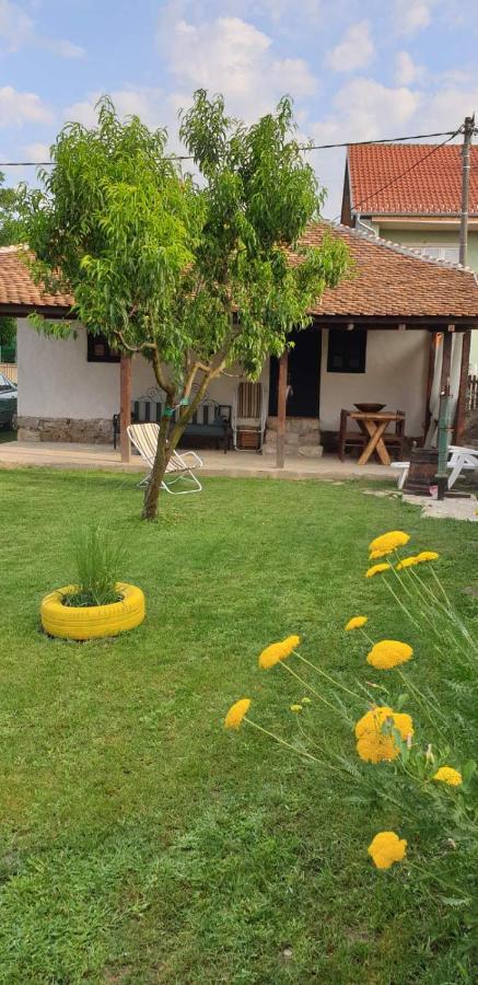 Stara Kovacnica Villa Golubac Dış mekan fotoğraf